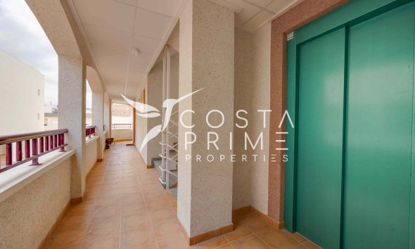 Új építésű - Apartman / lakás - San Fulgencio