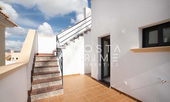 Obra nueva - Chalet / Villa - Cox