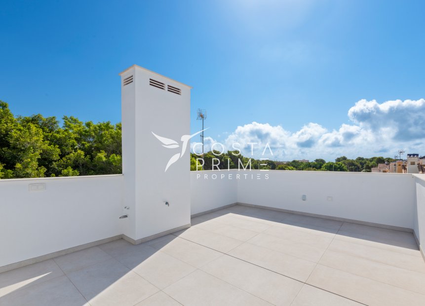 Obra nueva - Chalet / Villa - Pilar de la Horadada