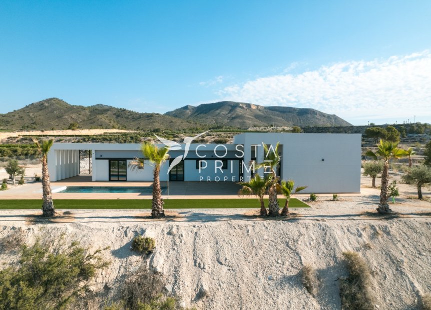 Obra nueva - Chalet / Villa - Pinoso