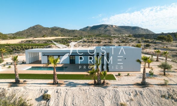 Obra nueva - Chalet / Villa - Pinoso