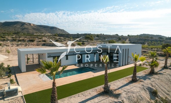 Obra nueva - Chalet / Villa - Pinoso