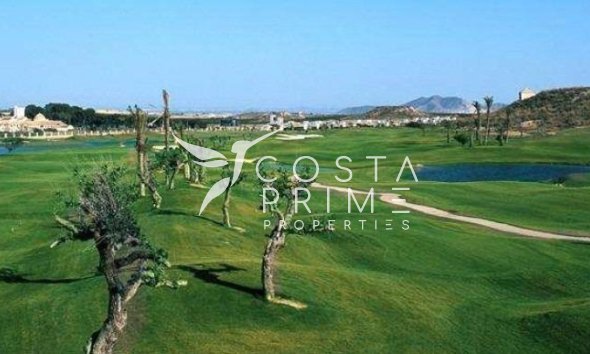 Obra nueva - Chalet / Villa - Peraleja Golf