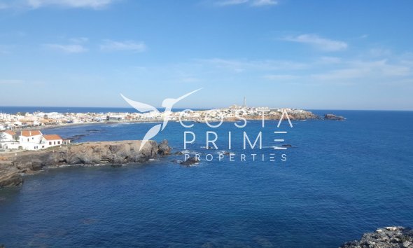 New build - Villa  - Cabo de Palos