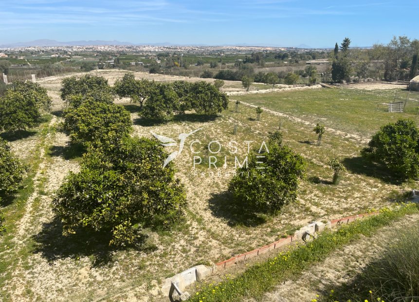 Resale - Villa  - Guardamar del Segura