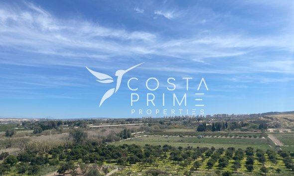 Resale - Villa  - Guardamar del Segura