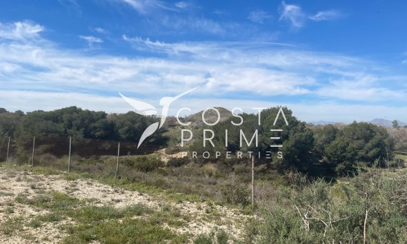 Resale - Villa  - Guardamar del Segura