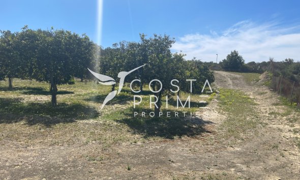 Resale - Villa  - Guardamar del Segura