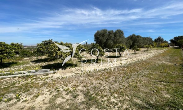 Resale - Villa  - Guardamar del Segura