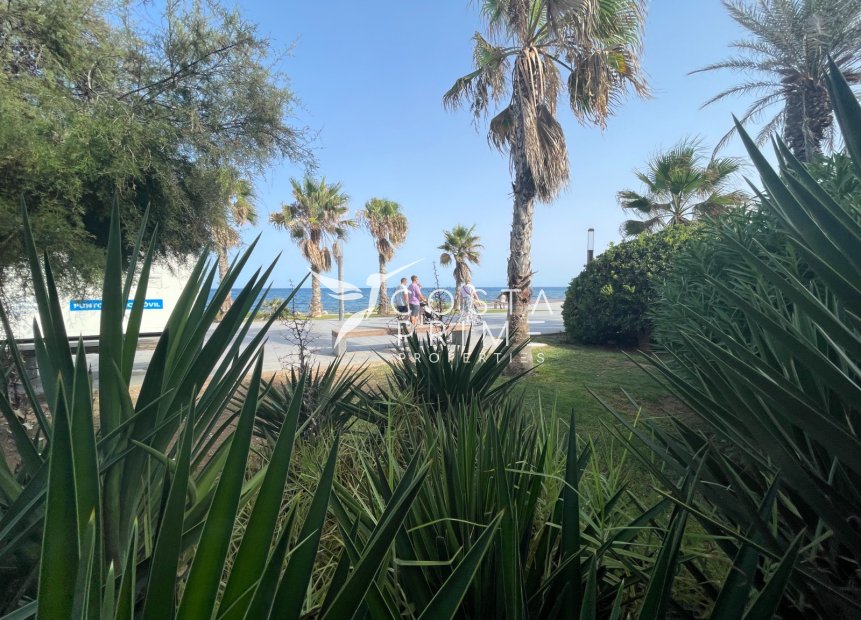 Resale - Commercial properties - Torrevieja