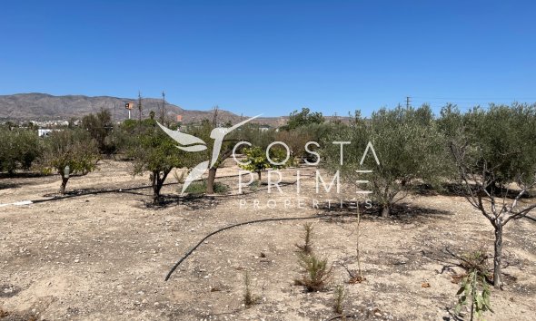 Resale - Villa  - Crevillente