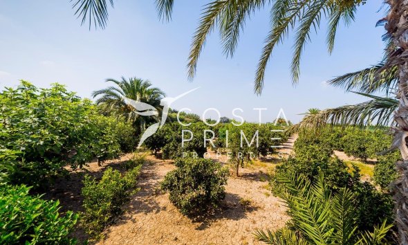 Resale - Villa  - Almoradí
