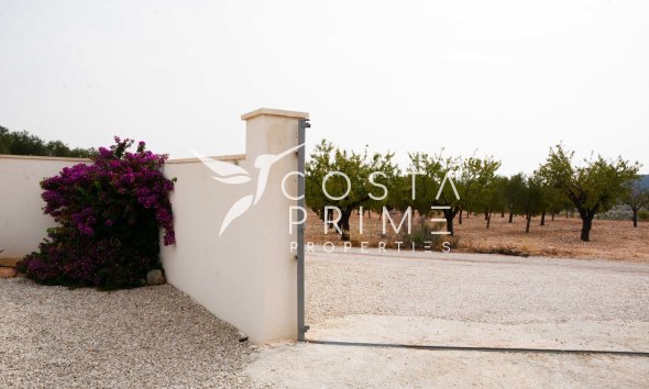 Resale - Villa  - Macisvenda