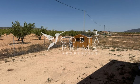 Reventa - Chalet / Villa - Pinoso