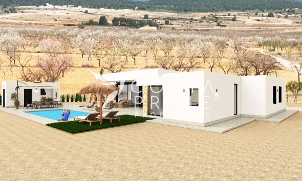 Obra nueva - Chalet / Villa - Pinoso