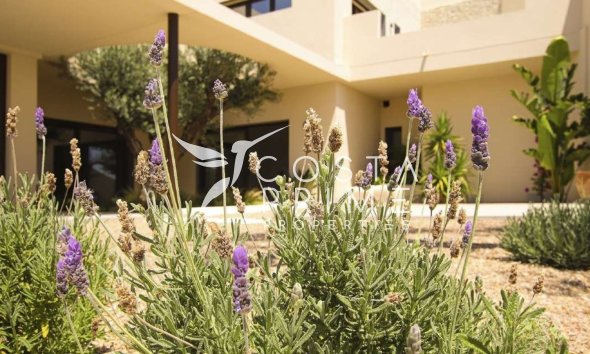 New build - Villa  - La Marina
