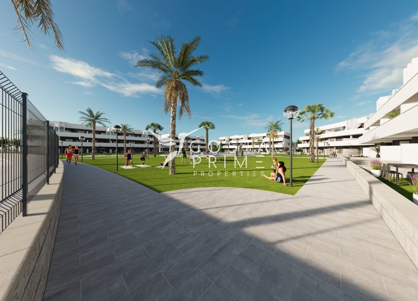 New build - Apartment / Flat - Guardamar del Segura