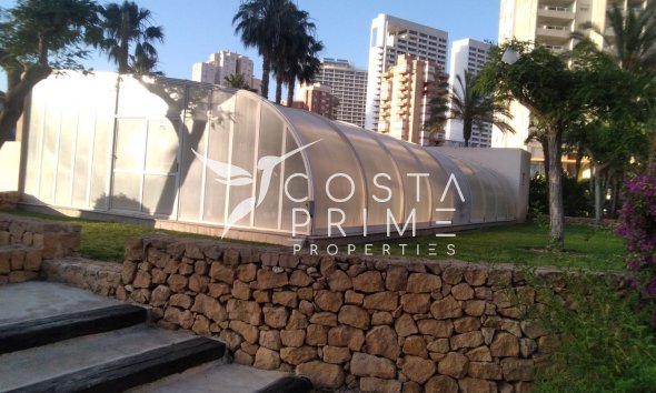 Resale - Apartment / Flat - Benidorm