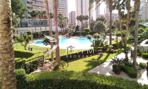 Reventa - Apartamento / Piso - Benidorm