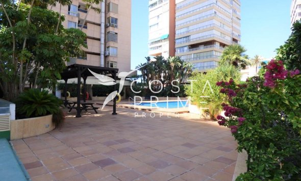 Újraértékesítés - Apartman / lakás - Benidorm