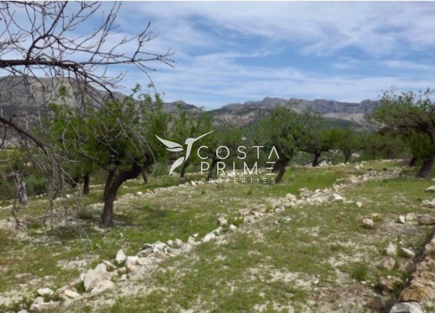 Resale - Plot / Land - Callosa d'en Sarrià