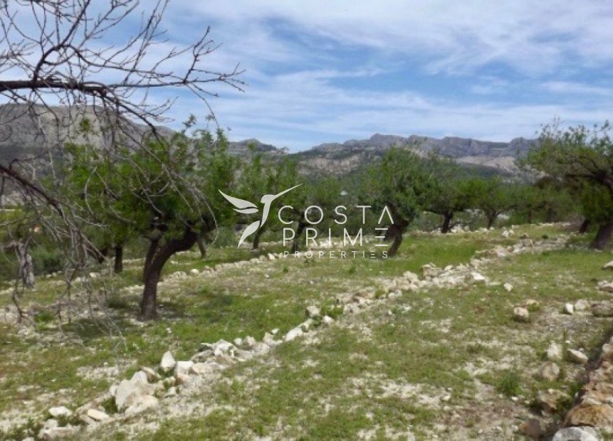 Resale - Plot / Land - Callosa d'en Sarrià