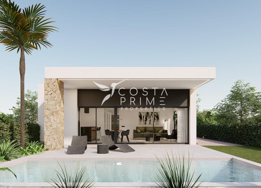 New build - Villa  - Molina De Segura