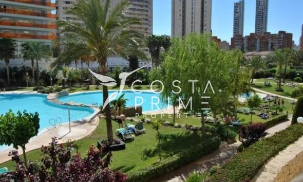 Resale - Apartment / Flat - Benidorm