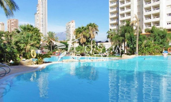 Resale - Apartment / Flat - Benidorm