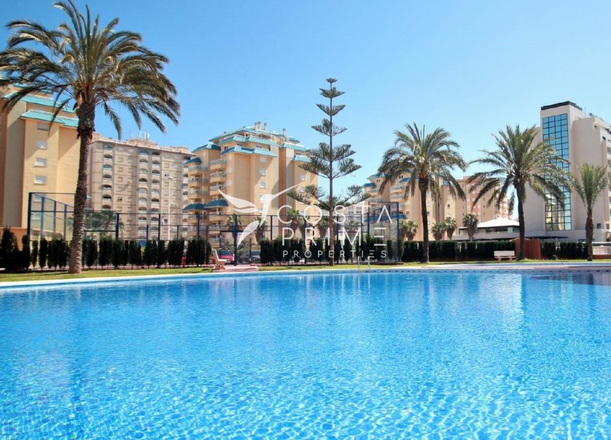 Új építésű - Apartman / lakás - La Manga del Mar Menor