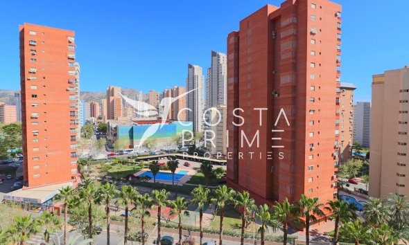 Resale - Apartment / Flat - Benidorm