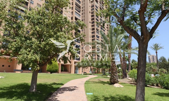 Reventa - Apartamento / Piso - Benidorm