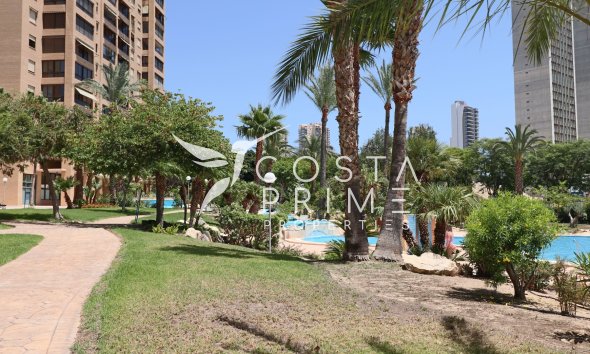 Resale - Apartment / Flat - Benidorm