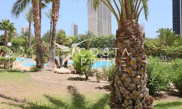 Reventa - Apartamento / Piso - Benidorm