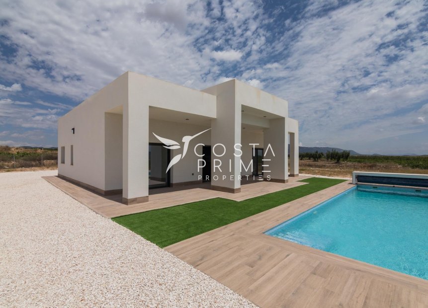 New build - Villa  - Pinoso