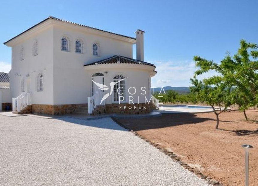 New build - Villa  - Pinoso