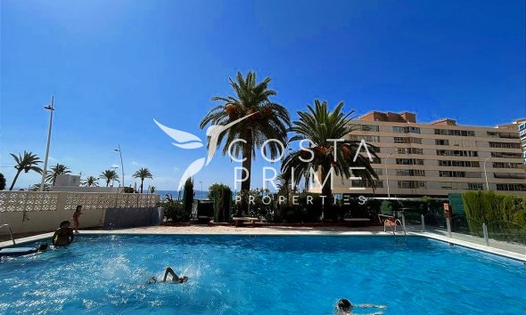 Hosszú távú bérlés - Apartman / lakás - Benidorm