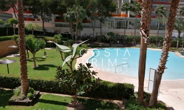 Resale - Apartment / Flat - Benidorm