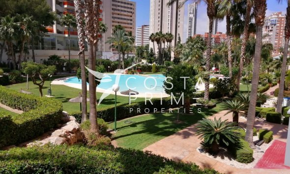 Újraértékesítés - Apartman / lakás - Benidorm