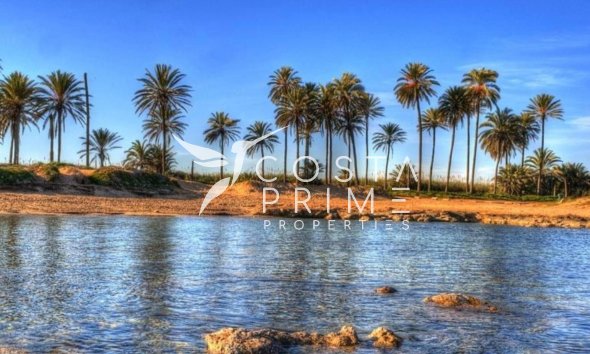 Új építésű - Apartman / lakás - Torrevieja