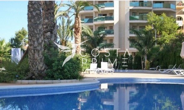 Új építésű - Apartman / lakás - Calpe