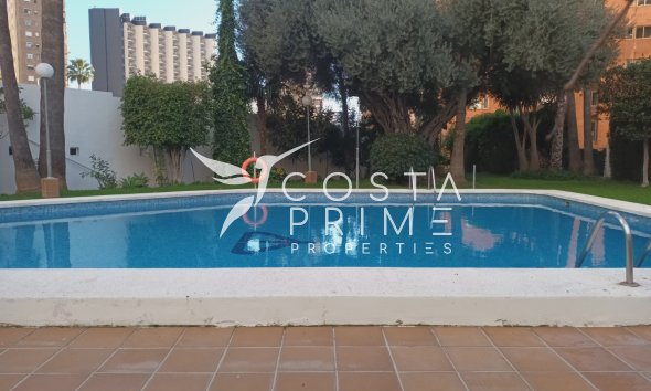 Resale - Apartment / Flat - Benidorm