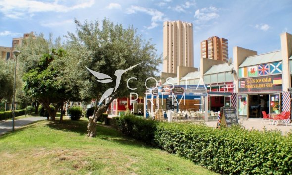 Resale - Commercial properties - Benidorm