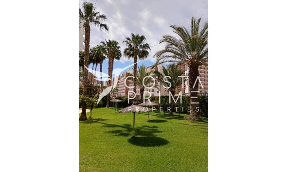 Resale - Apartment / Flat - Benidorm