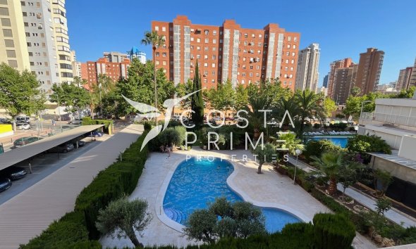 Long term rental - Apartment / Flat - Benidorm