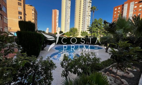 Long term rental - Apartment / Flat - Benidorm