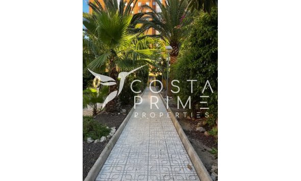 Long term rental - Apartment / Flat - Benidorm