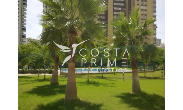 Reventa - Apartamento / Piso - Benidorm