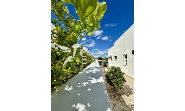 Új építésű - Villa  - Benijofar