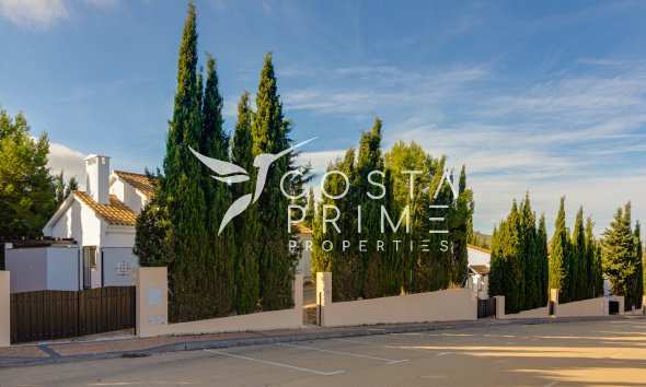 Obra nueva - Chalet / Villa - Fuente Álamo